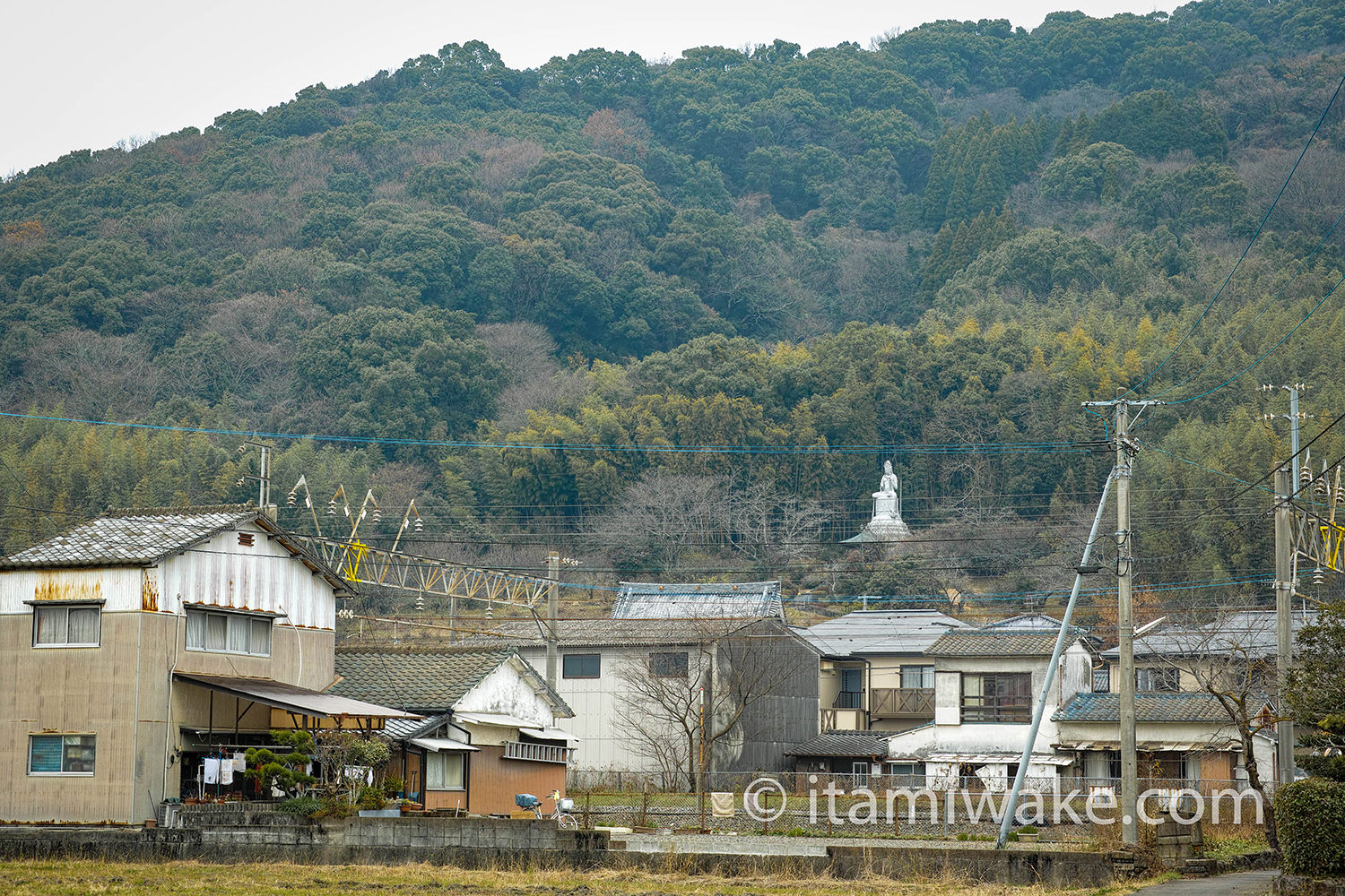 山の中に大観音