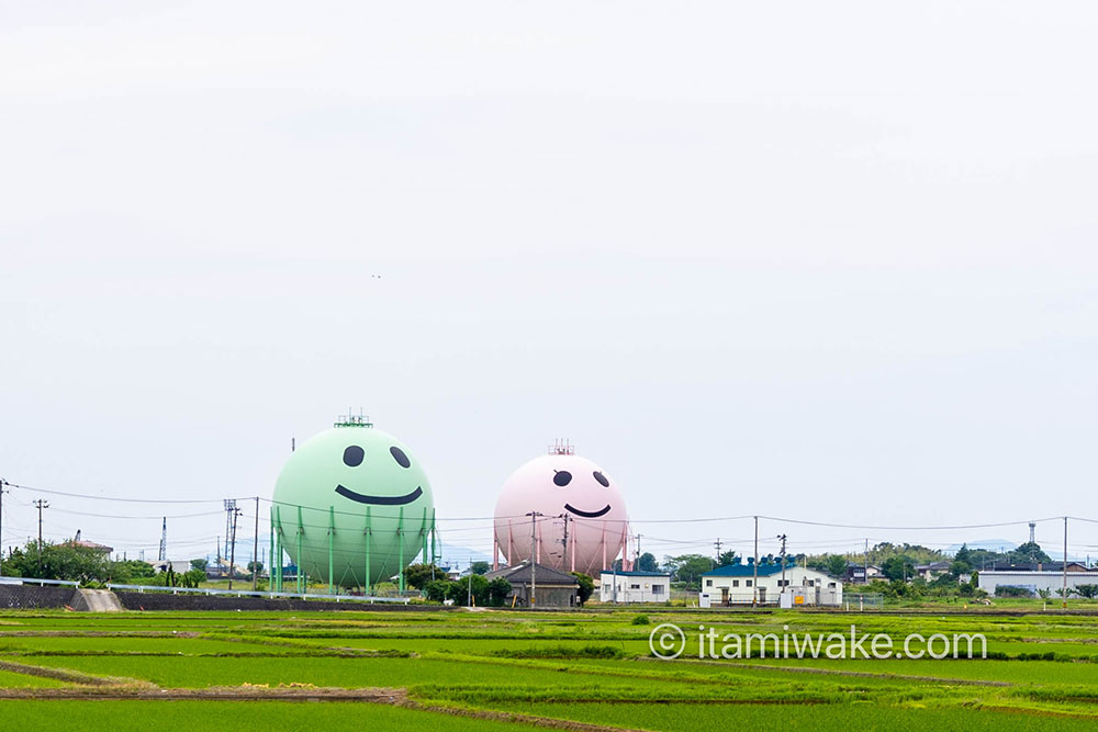 ニコタンとモモタン