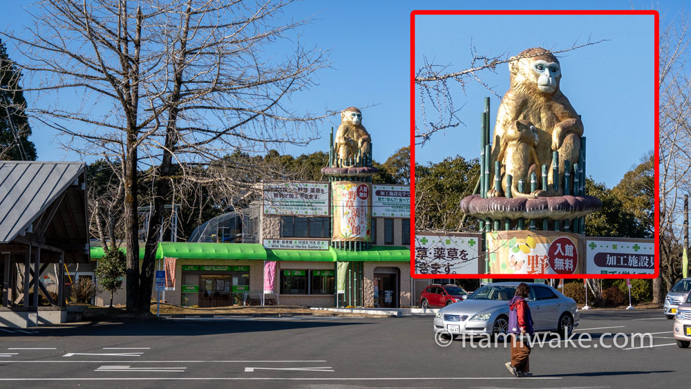 お店の上に猿のモニュメント