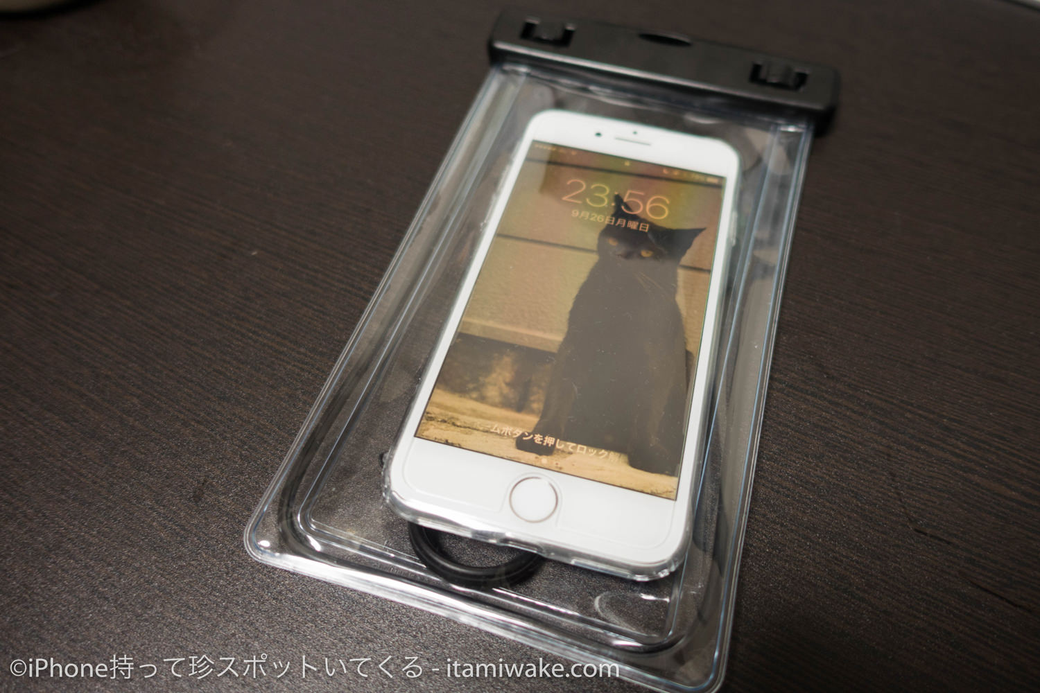 防水ポーチに入ったiPhone7