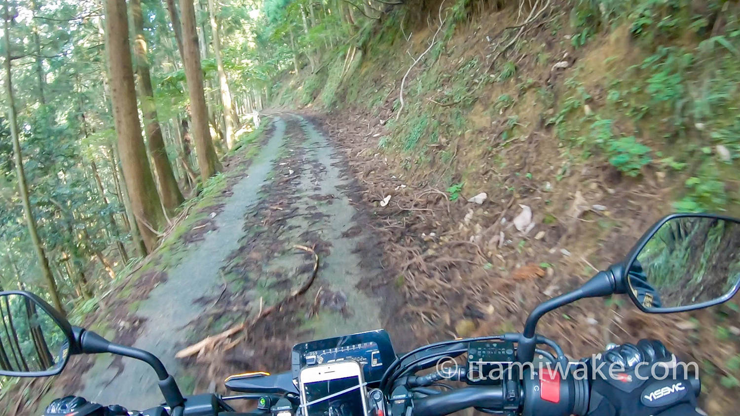 向之倉集落に到る道