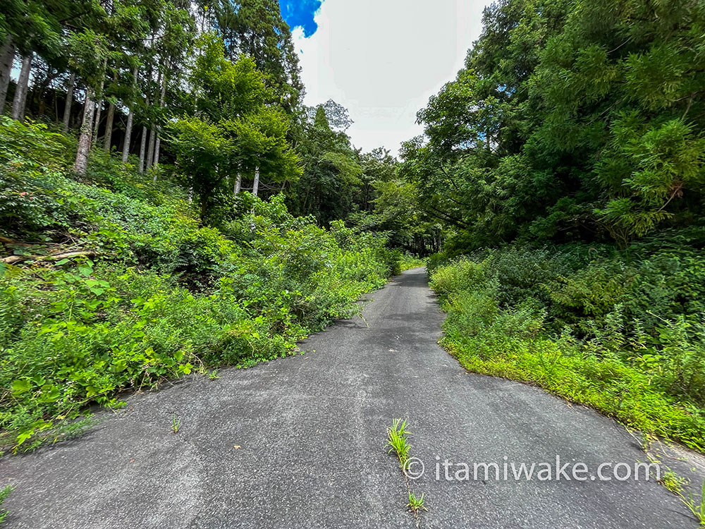 狭い道を進む