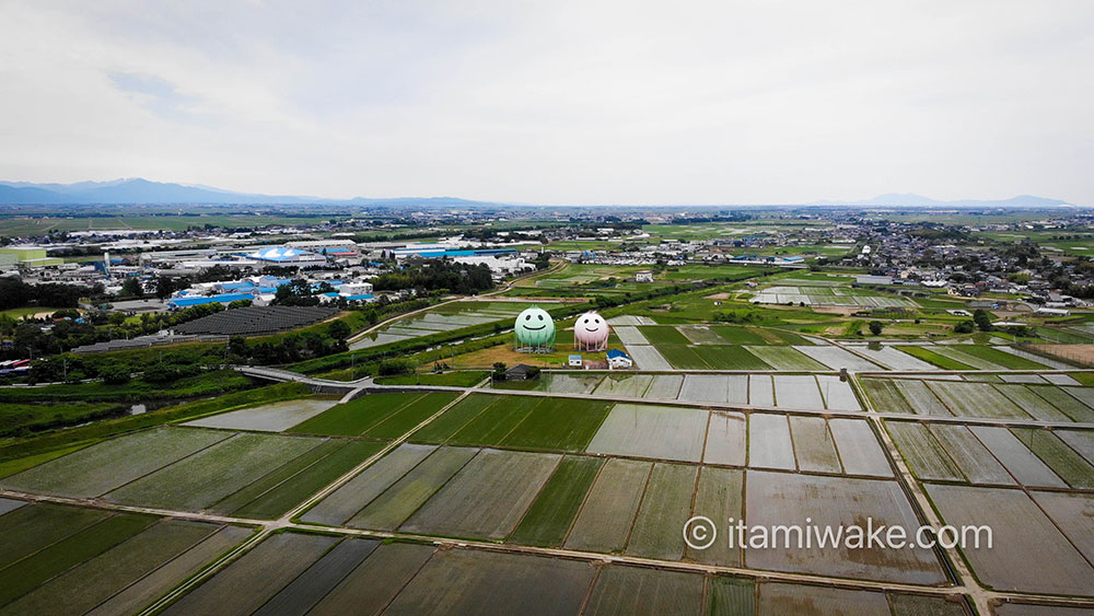 ドローンで空から見るニコタンとモモタン