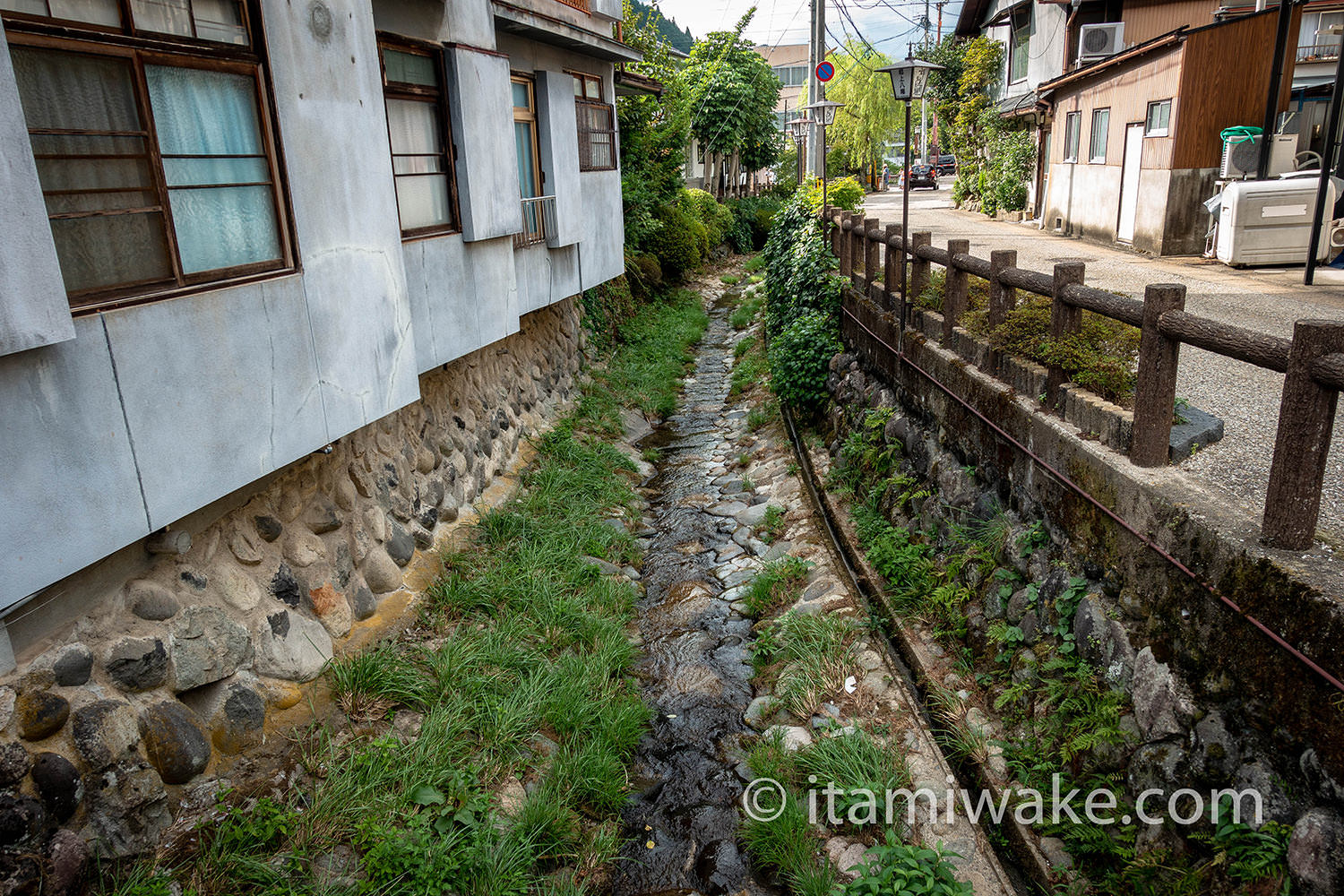 郡上八幡の水路