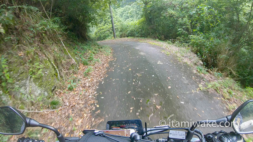 竜山鉱山への道