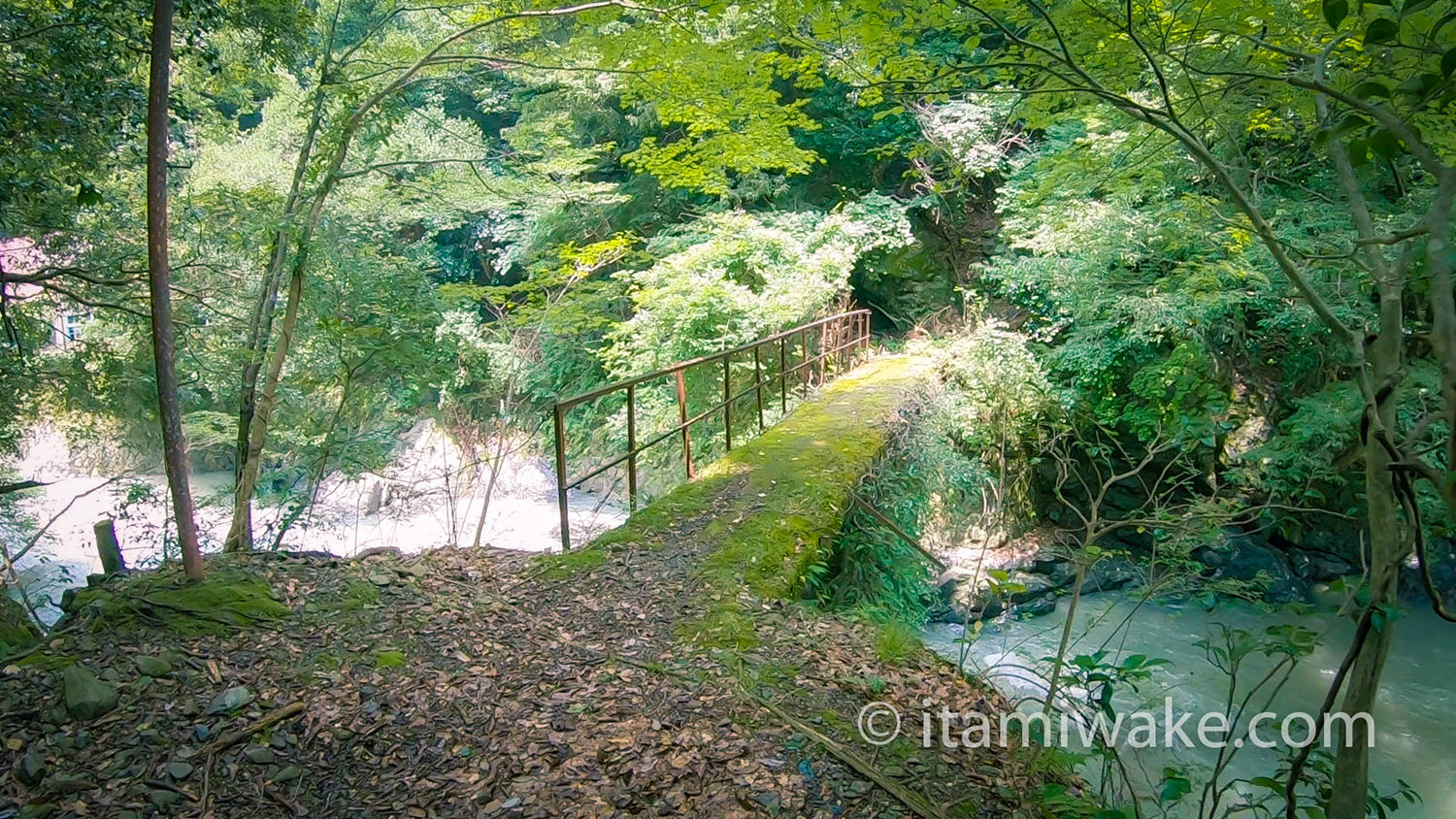 沢を渡る橋