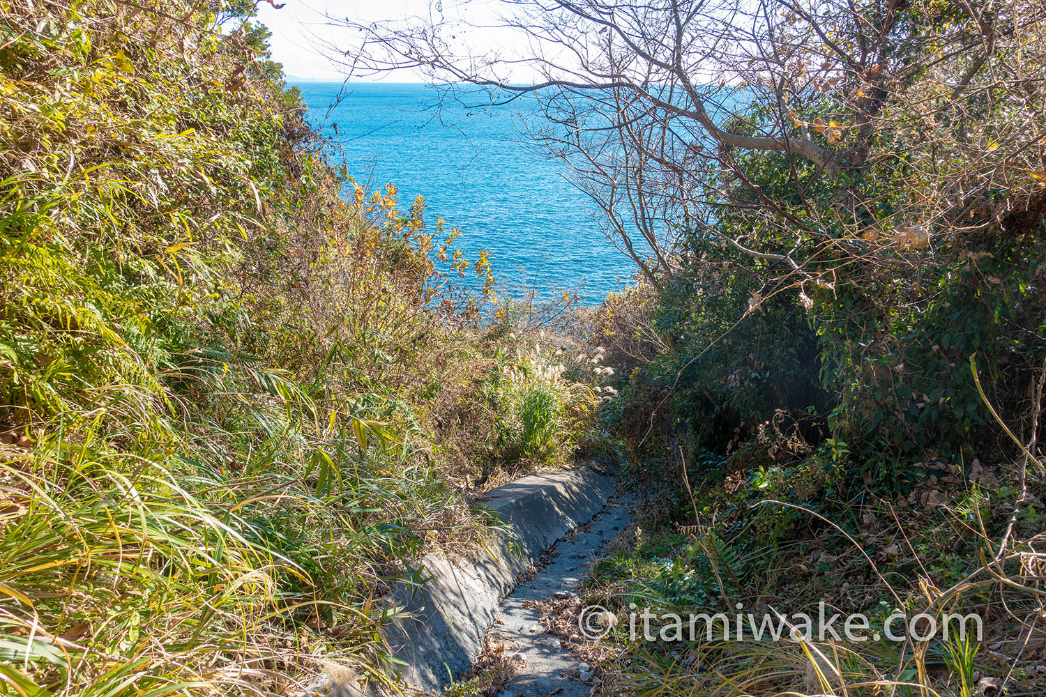 大崩海岸への道