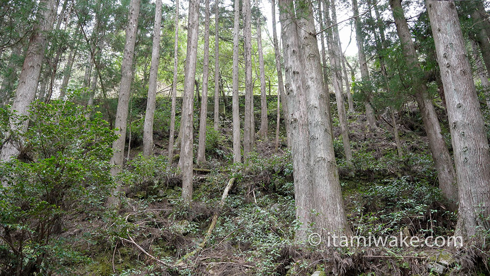 頭上の校庭