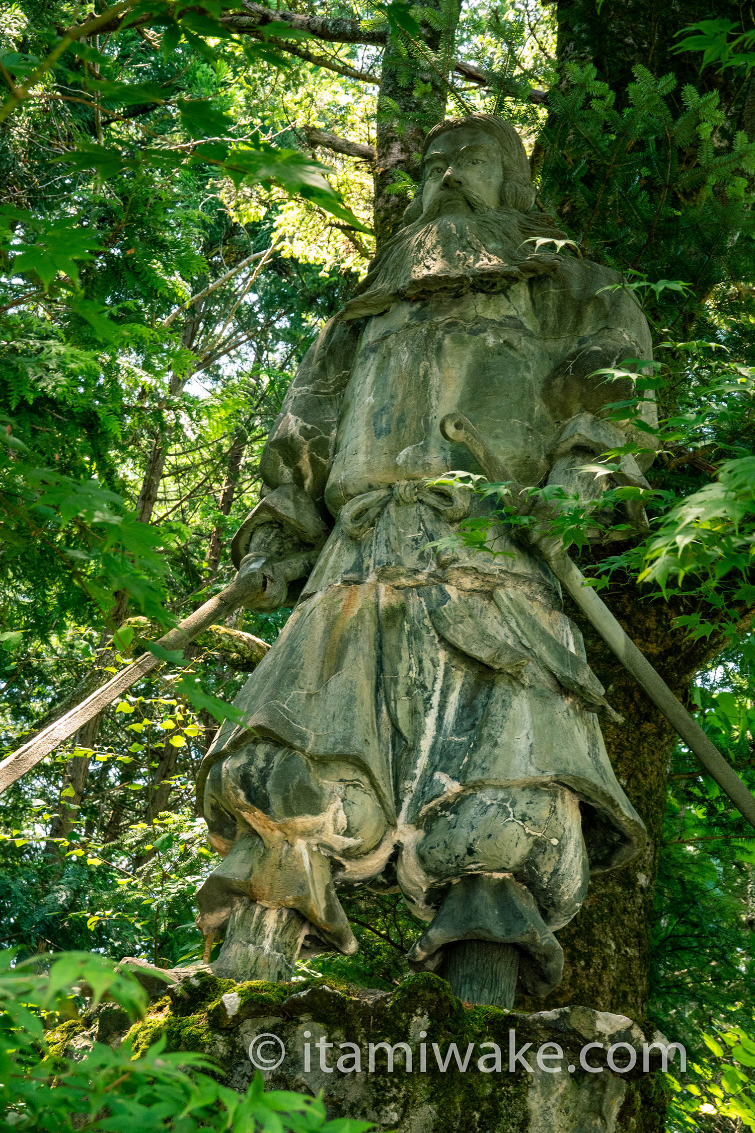 豊雲野神