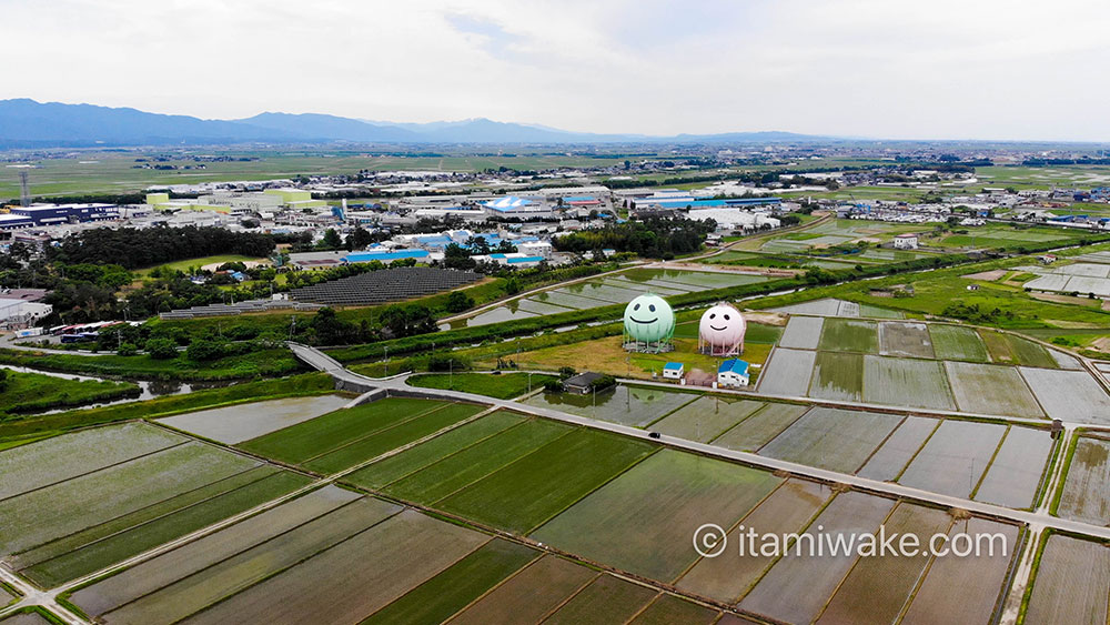 再び空からニコタンとモモタンを見る