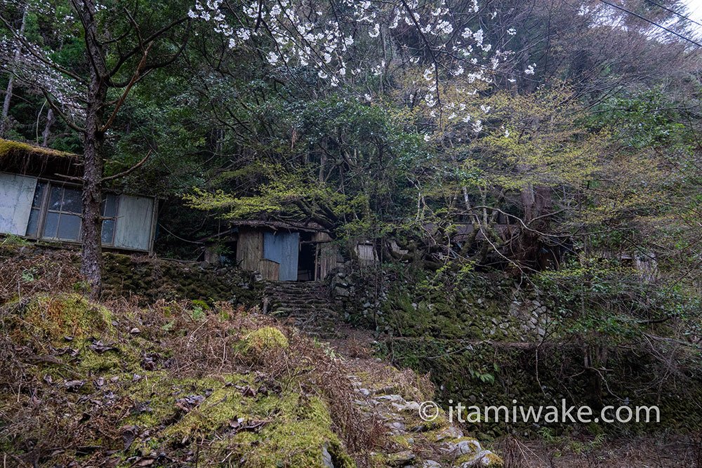 建物が点在する