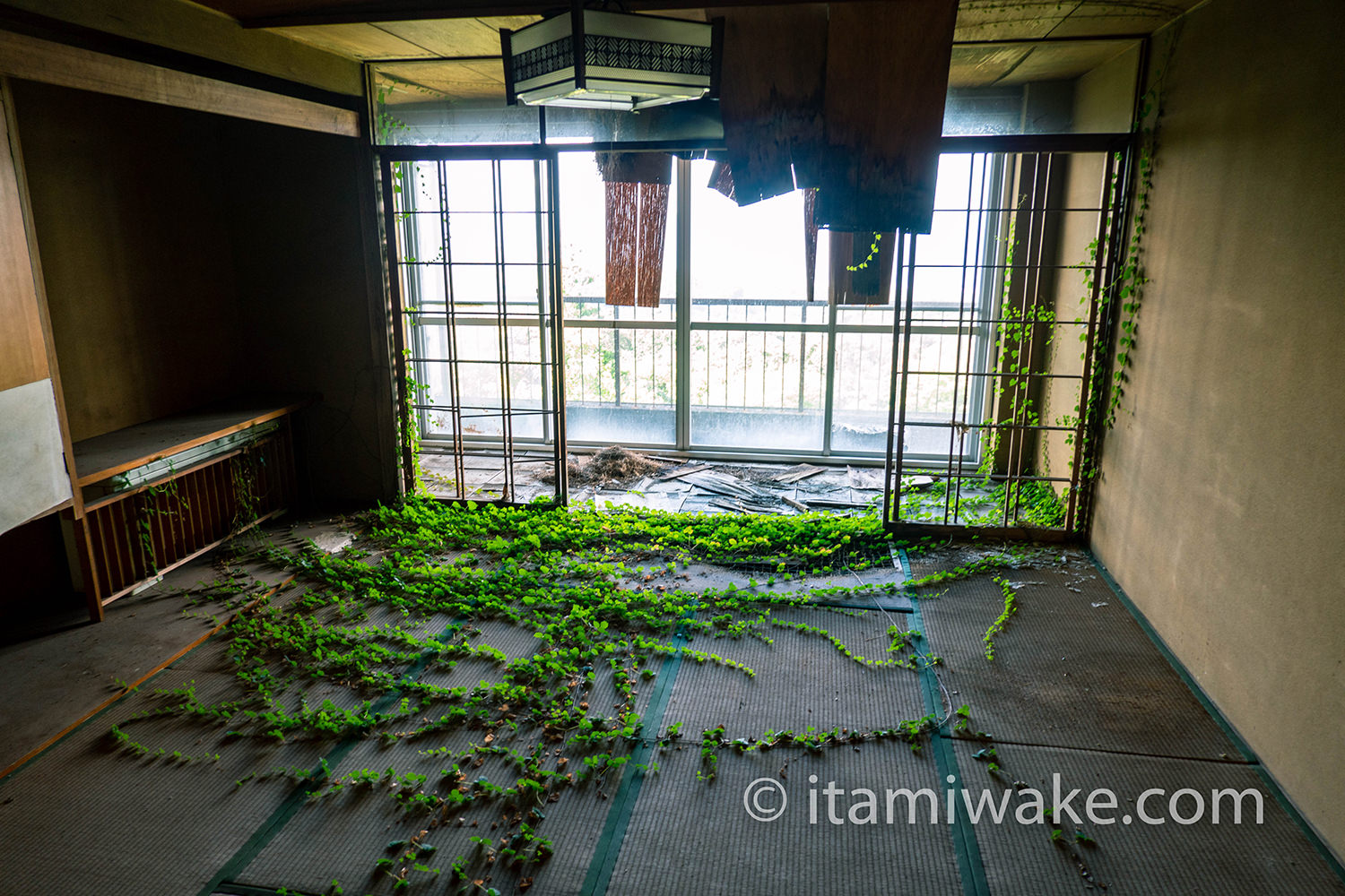 草まみれの部屋