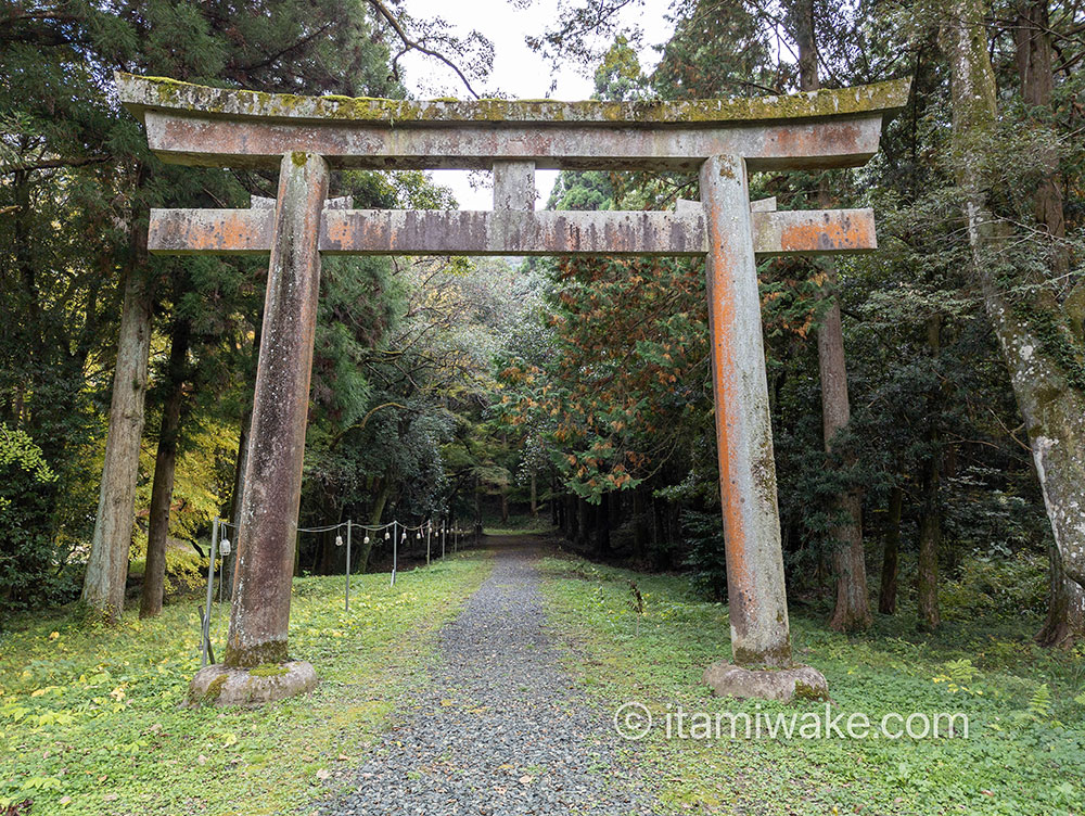 少彦名神社の鳥居