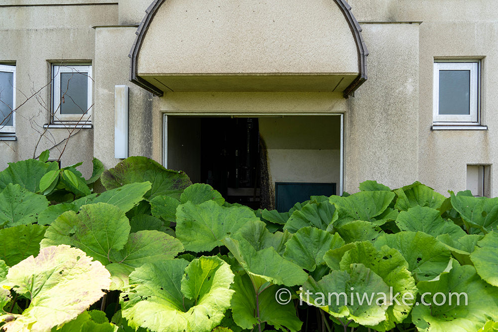 植物以外立入禁止