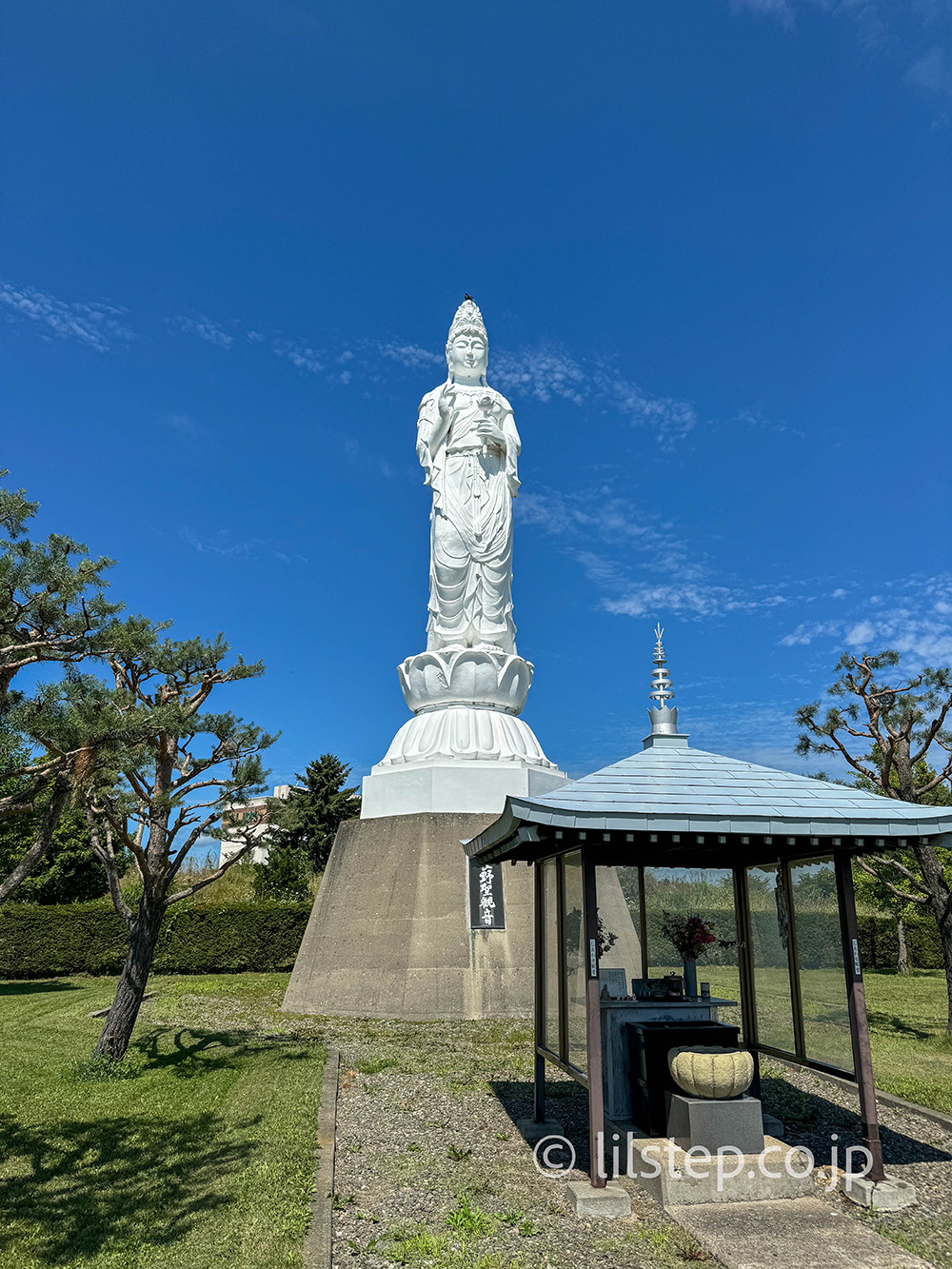 広い