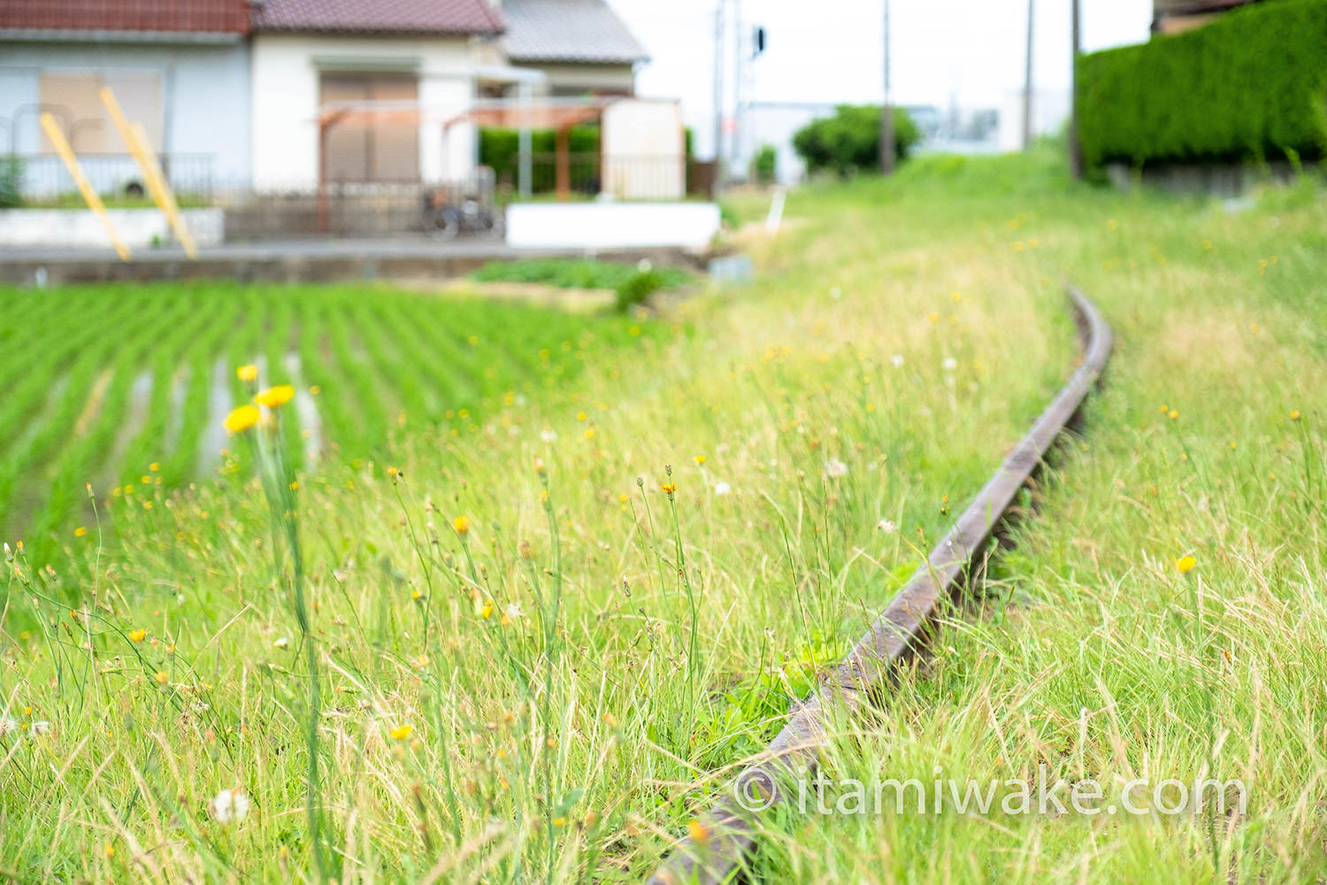 廃線とレール