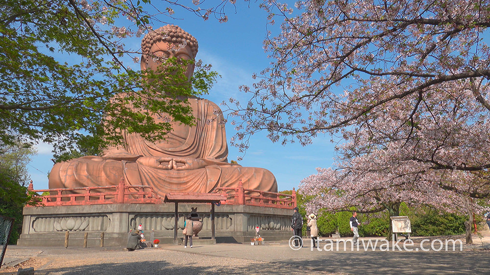 桜の効果もあって参拝者増