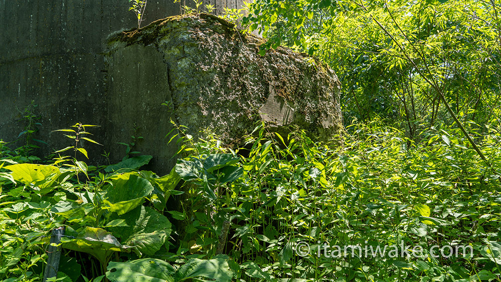 植物ブロック