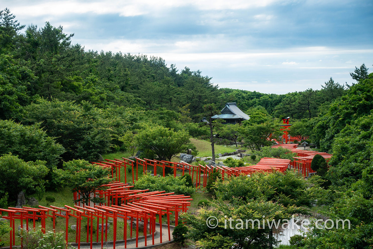 千本鳥居全体像