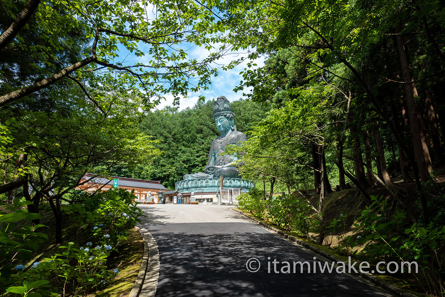 山道から昭和大仏