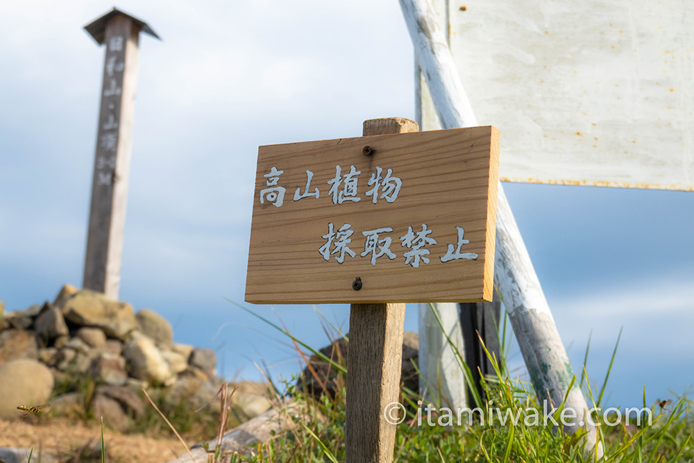 高山植物採取禁止