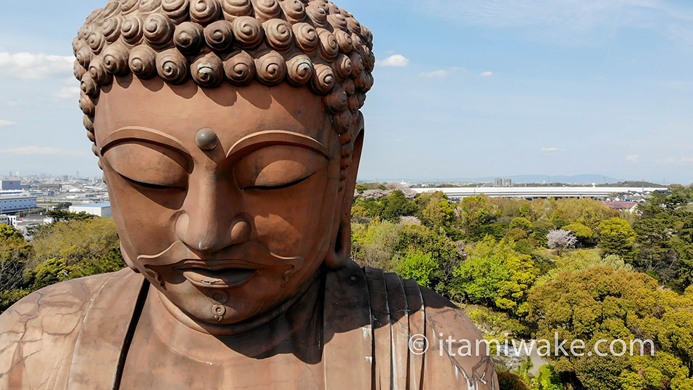 螺髪は鎌倉大仏と違って右巻き