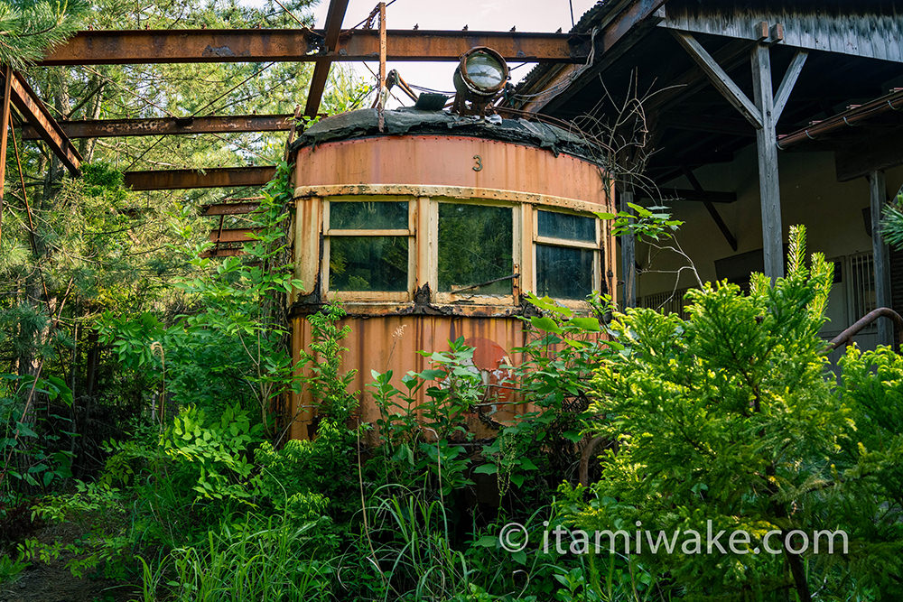 森と鉄道、素敵です