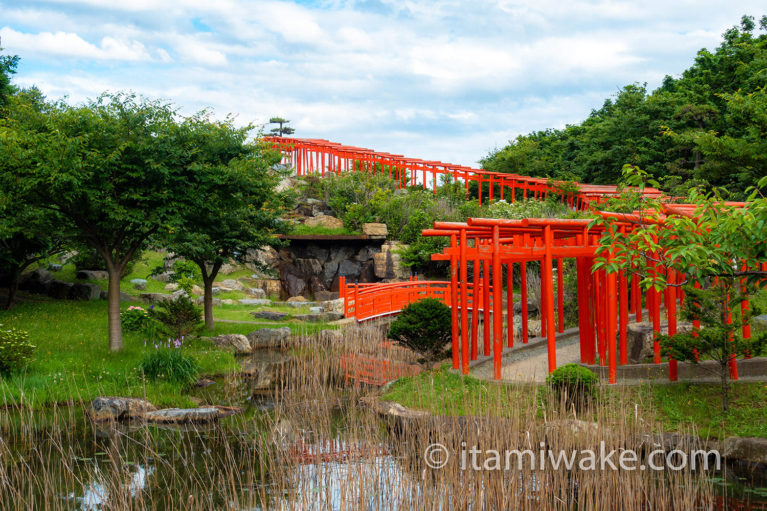 千本鳥居の先っぽ