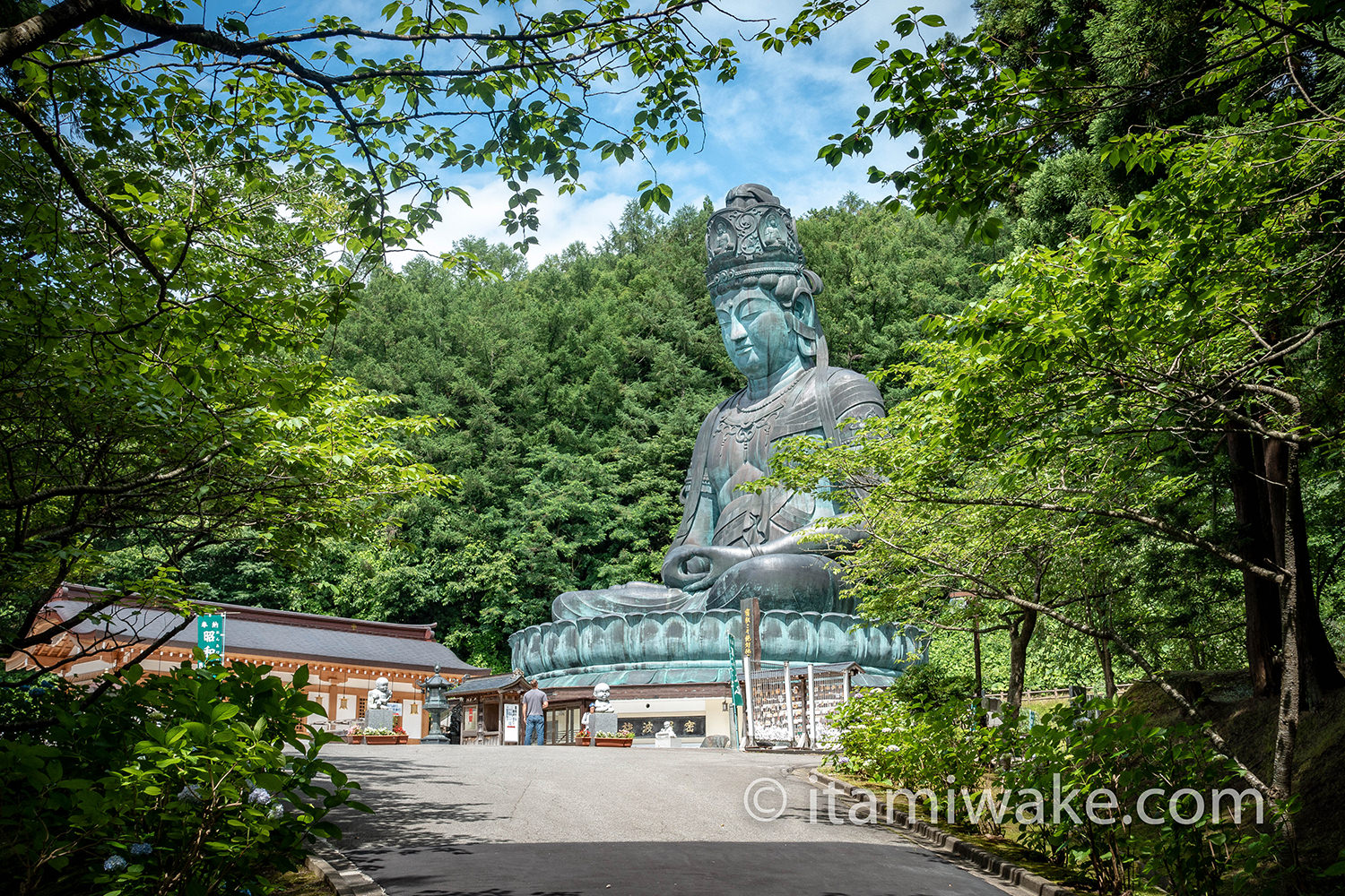 参道から見た昭和大仏