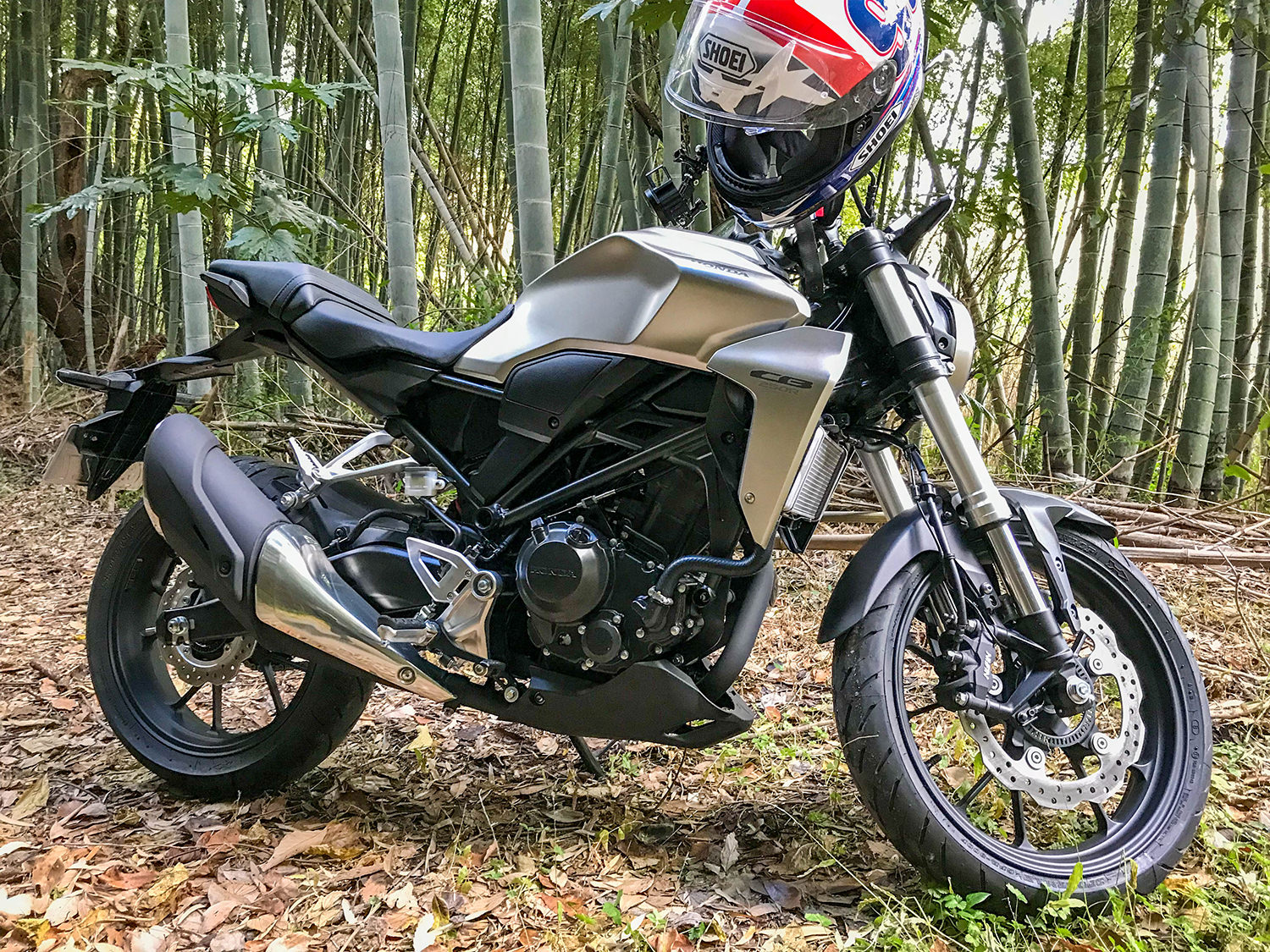 竹林とCB250R