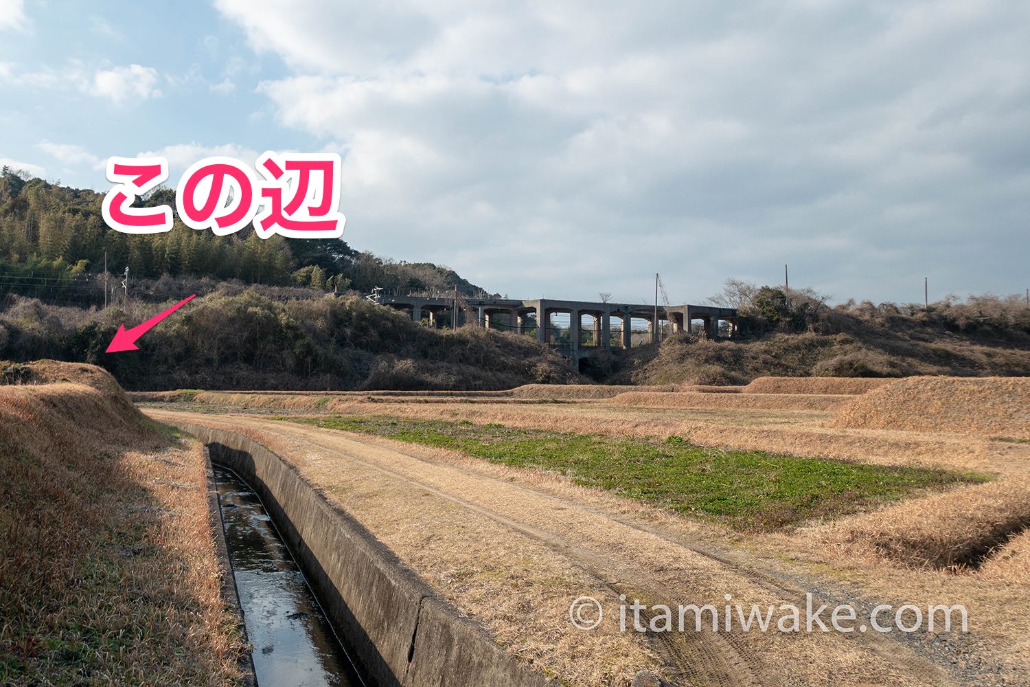 小野田立体交差手前