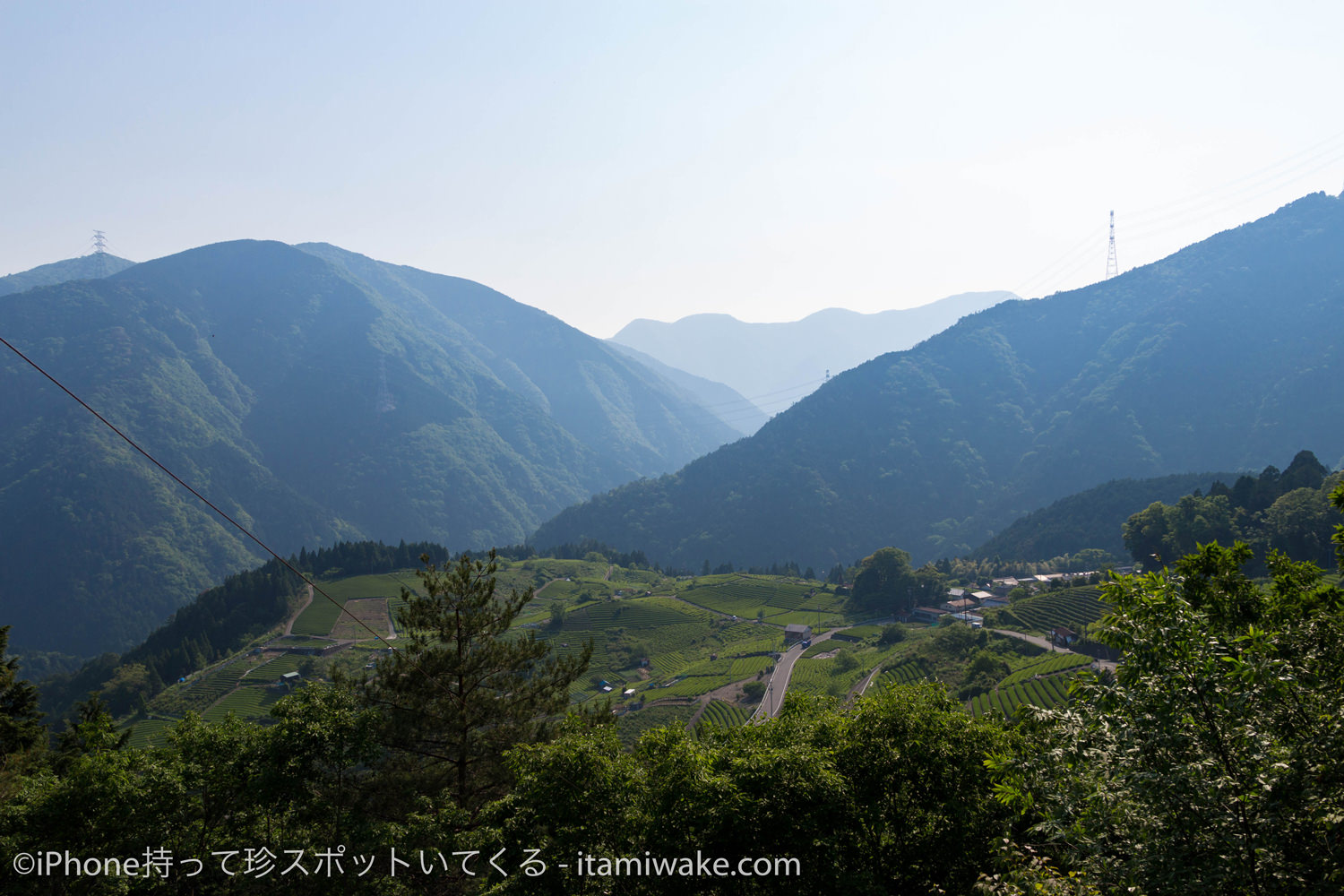 山道の途中から茶畑