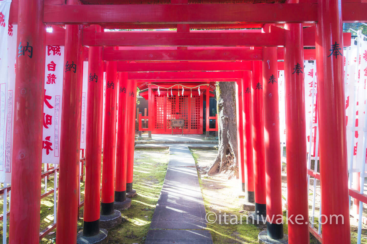 神社の鳥居