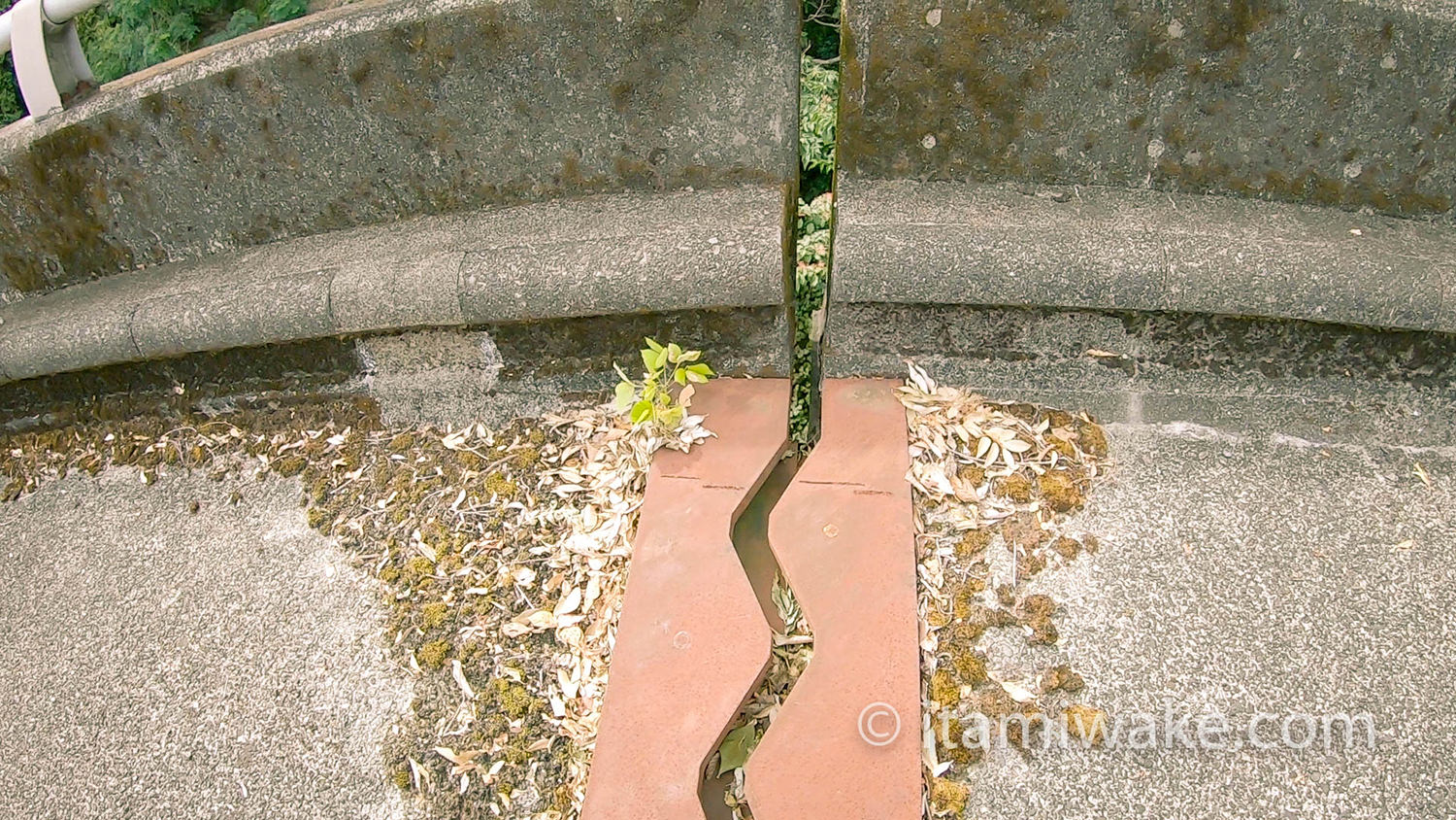 隙間が開きつつあります