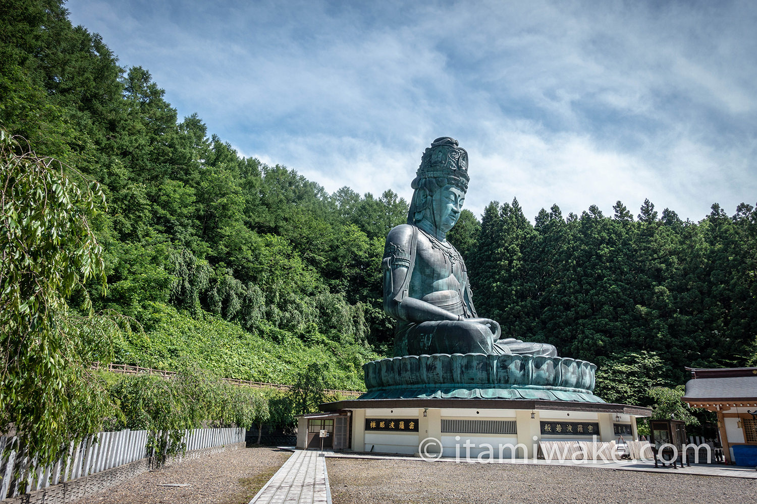 昭和大仏全景