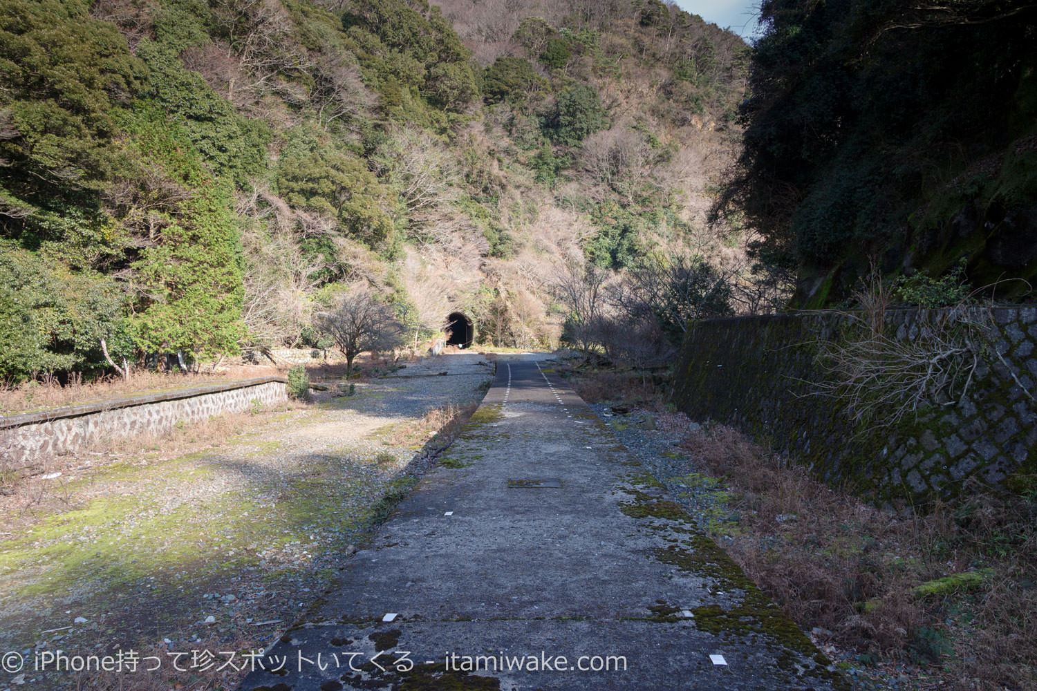 三重県側のトンネルを見る