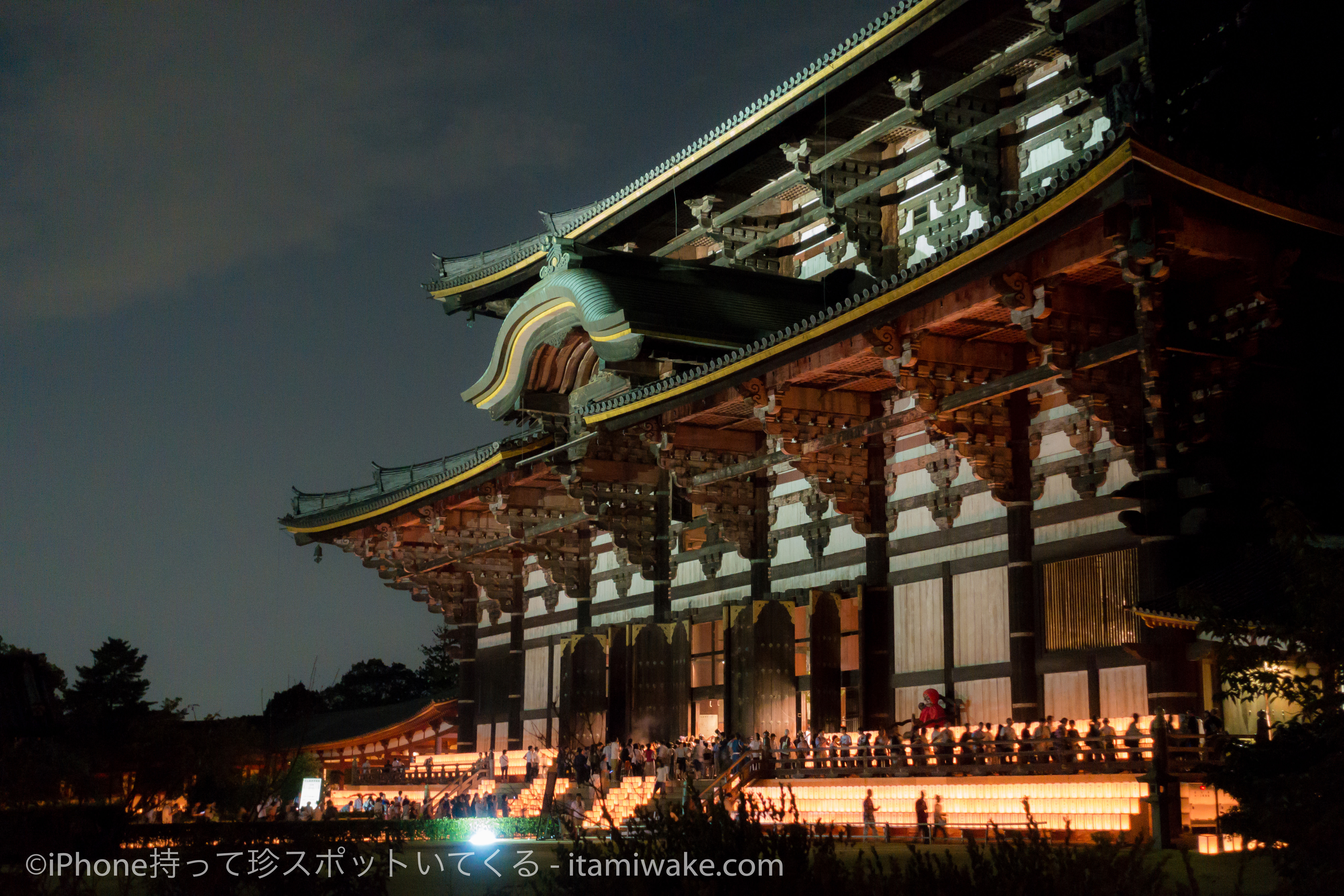 夜に映える大仏殿