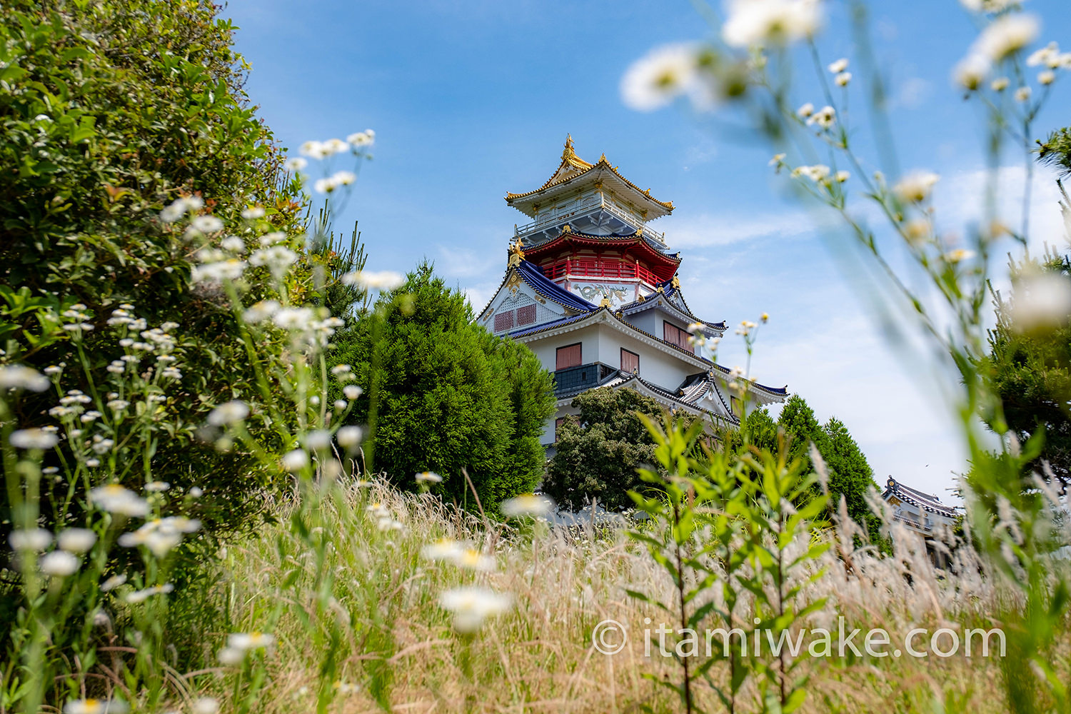 原っぱと安土城