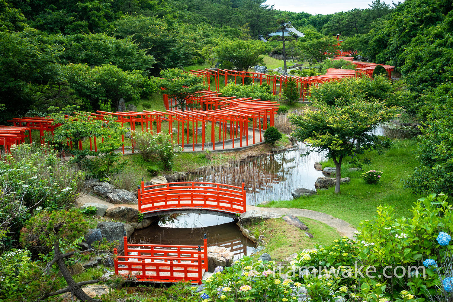 千本鳥居と桃源郷