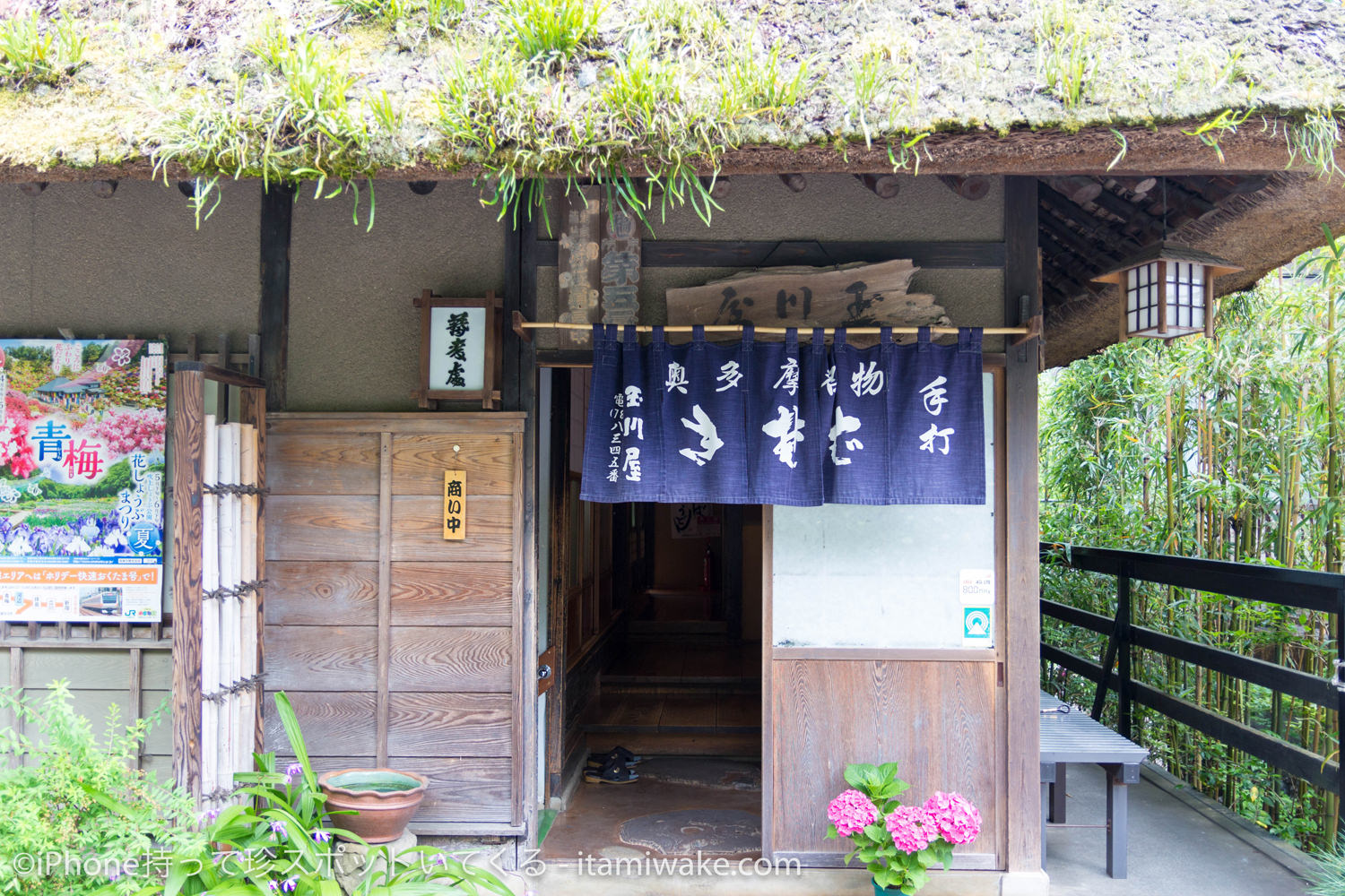 茅葺屋根の店構え