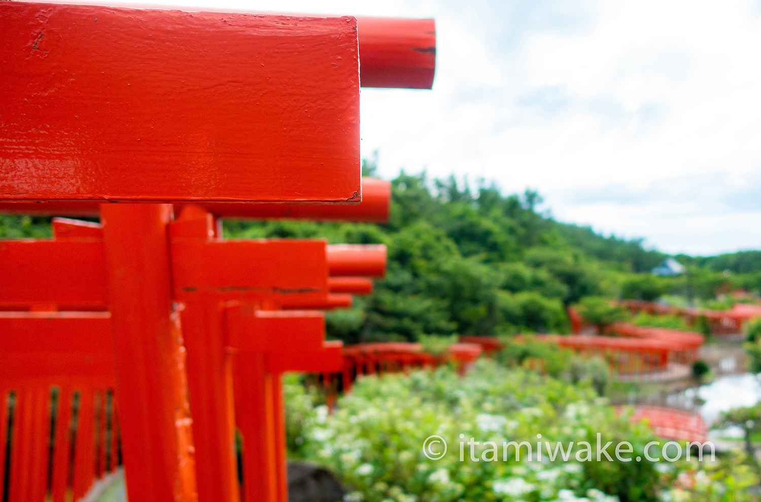 鳥居の頭