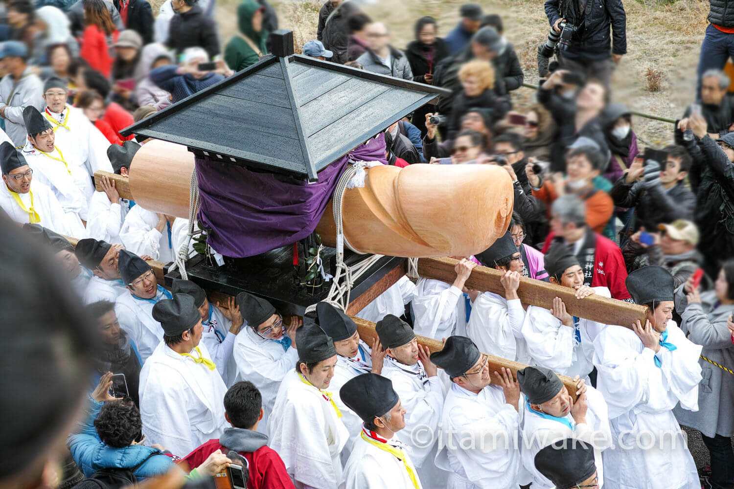 田縣神社の豊年祭で男根（人はそれをちんこと呼ぶ）に狂ってきた