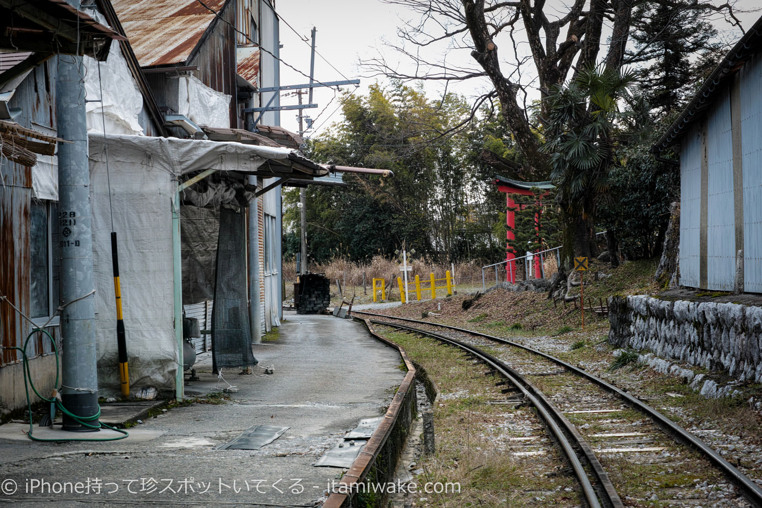 市橋線のゆるやかなカーブ