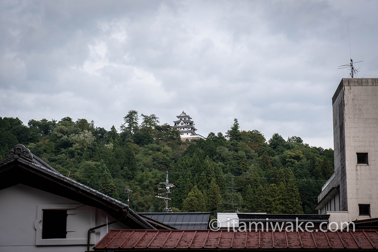 郡上八幡城