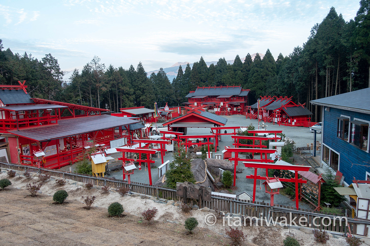 未来樹の丘から宝来宝来神社を見る