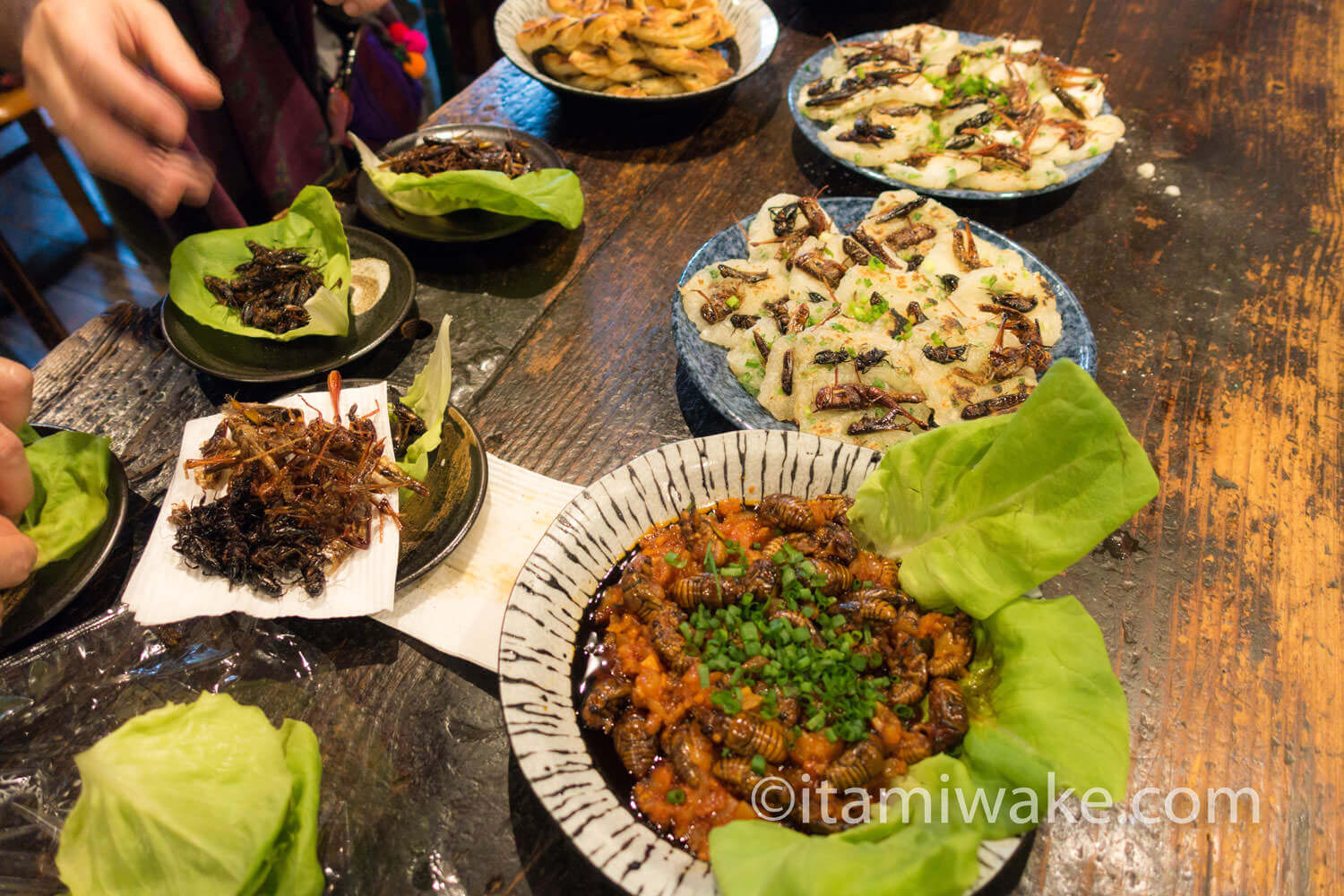 昆虫中華料理