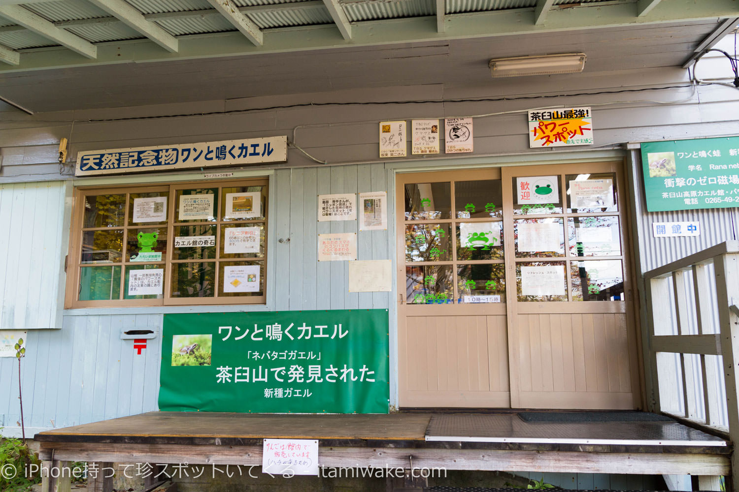 カエル館の入口