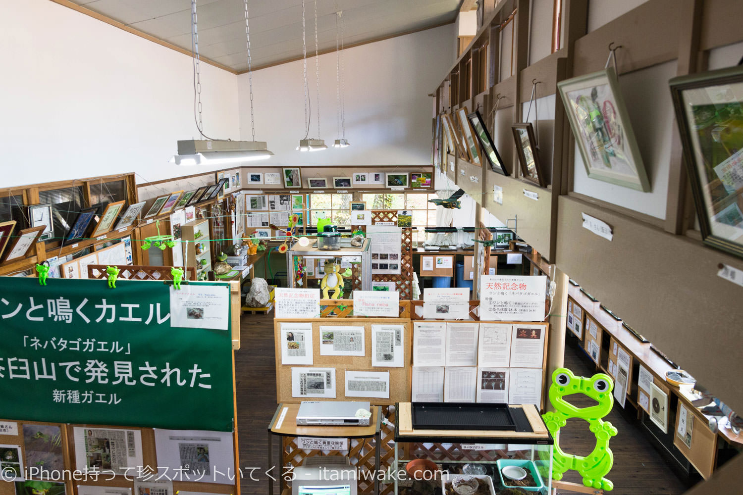 二階からカエル館