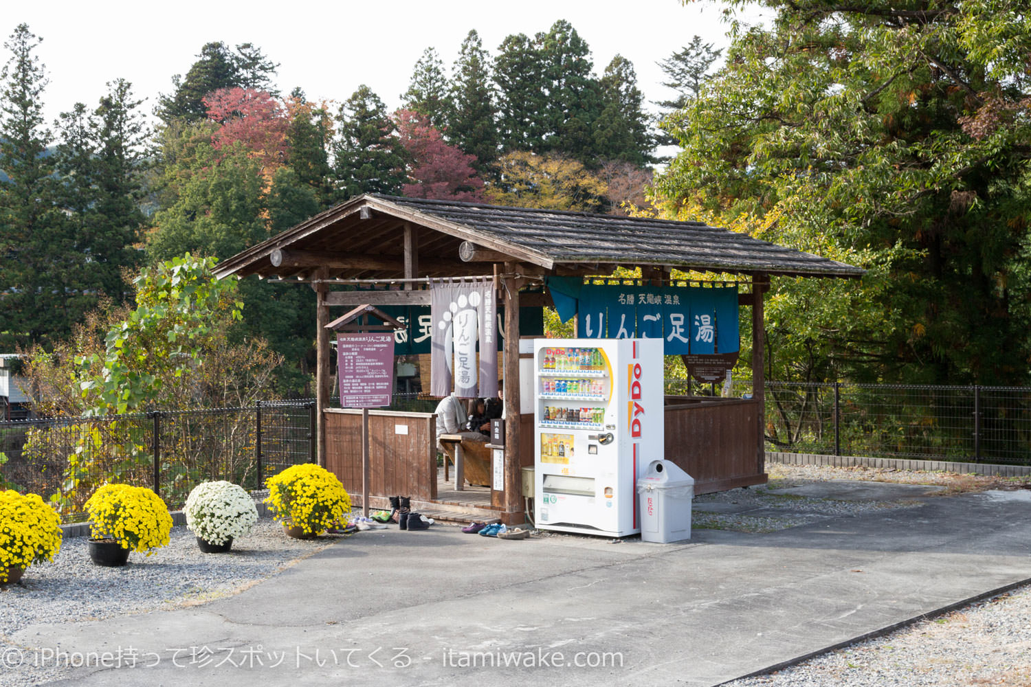 りんご足湯