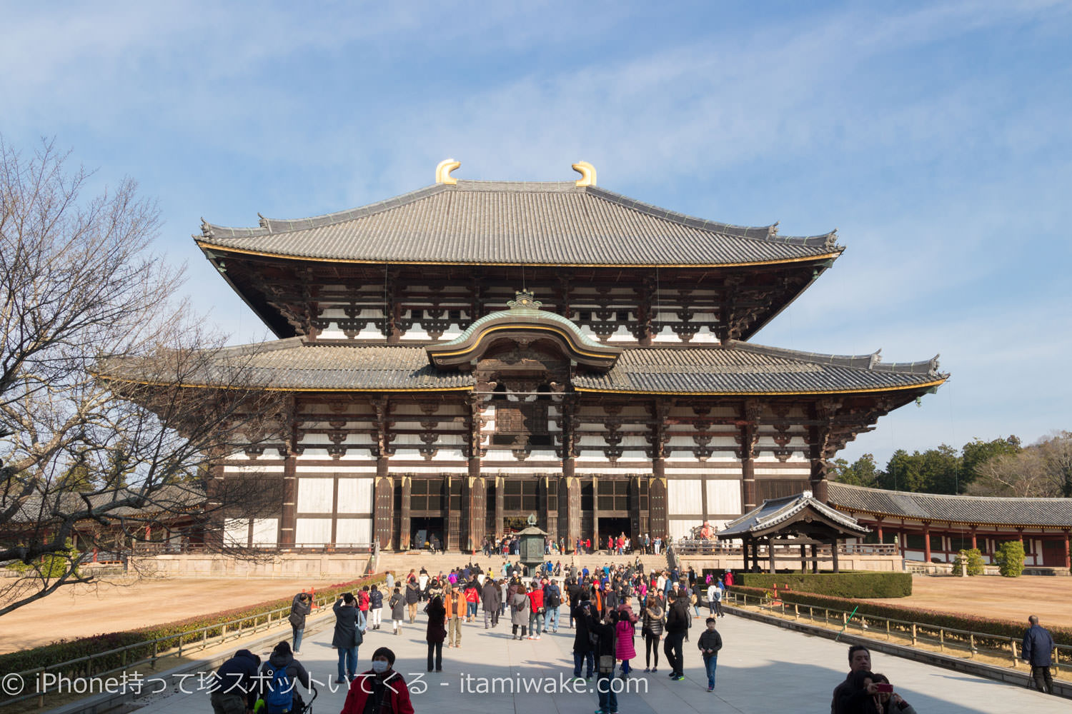 東大寺